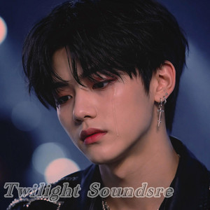 Twilight Soundsre - A Love I Can’t Return