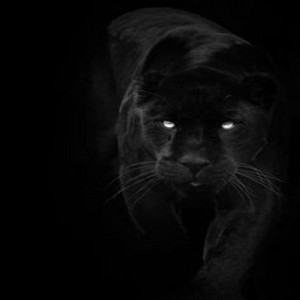 THE POWER THE WORK by djpanthe
