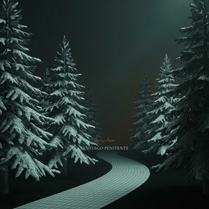 Snowy Snow by Santiago Penitente