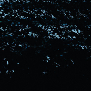 Chained To Your Garden by Sugar Spine