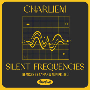 Everything She Wants - NoN Project feat. Rickard Slotte Remix by CharlieM, NoN Project