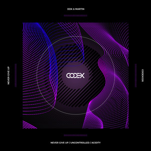 Never Give Up - Original Mix by Dok & Martin