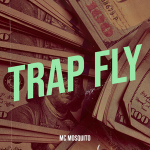 Trap Fly by MC MOSQUITO