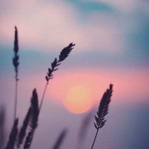 Light In The Dark by Krynoze, Sweet Medicine