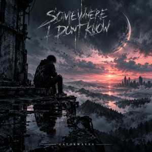 Somewhere I Dont Know by Gatorwaves
