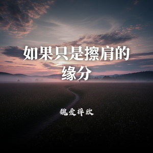 如果只是擦肩的缘分 by 魏爱梓欣