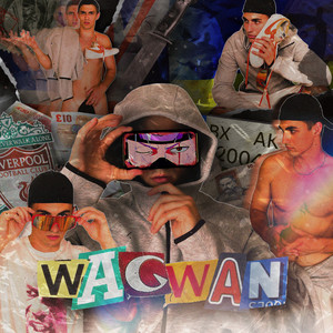 Обкладинка: WAGWAN