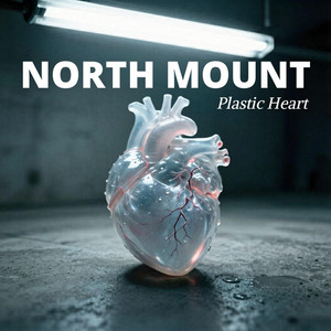 Plastic Heart by North Mount