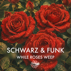 While Roses Weep by Schwarz & Funk