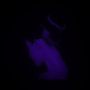 You Can't Hurt by Prigida