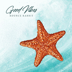 Good Vibes by Bounce Rabbit