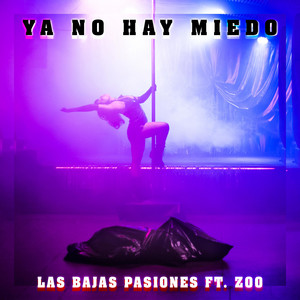 Ya no hay miedo by Las Bajas Pasiones, ZOO