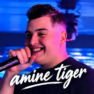 Manbghich li yza3fha by Amine Tiger