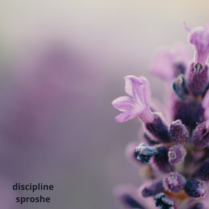 Discipline by sproshe
