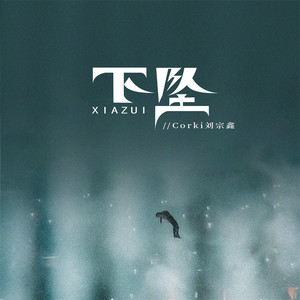 下坠Falling - DJRichz版 by 刘宗鑫