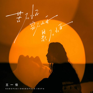 李白的酒杜甫的愁- Single by 王一佳| Spotify