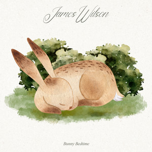 Bunny Bedtime by James Wilson