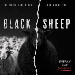 Black Sheep by Isiah Hilt