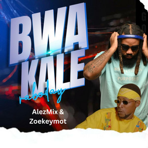 AlezMix & Zoekeymot - Bwa Kale Raboday