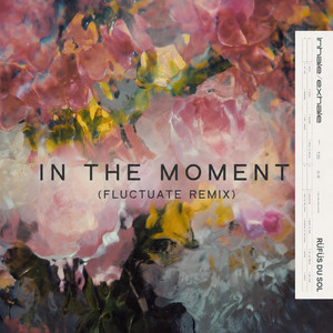 In The Moment - Fluctuate D&B Remix by Fluctuate