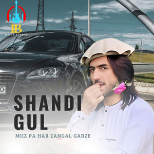 Shandi Gul - Che Roshe Wa Criket Wai Speendena