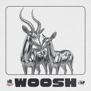 Woosh by Jetfly Multz, VxMP