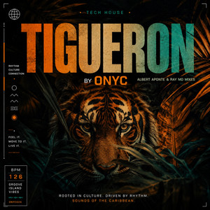 Tigueron - Ray MD Tigueraje Mix by Onyc, Ray MD, Albert Aponte