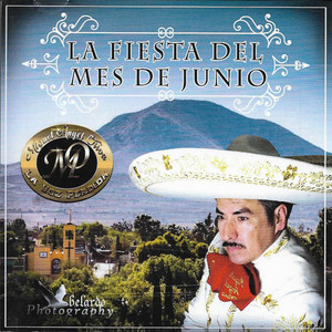 Miguel Ángel Oliva Esparza - Si No Te Hubieras Ido