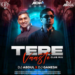djabdulindia - TERE WASTE (DJ ABDUL) album artwork