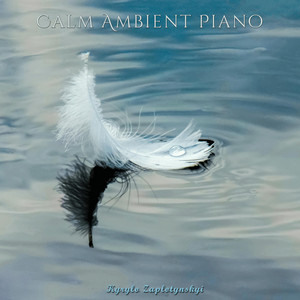 Kyrylo Zaplotynskyi — Calm Ambient Piano