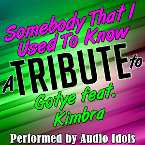 Audio Idols - Somebody That I Used to Know