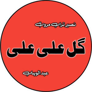 Naseer Marwat - Gull Ali Ali