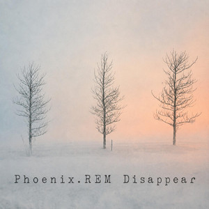 Disappear - Acoustic by Phoenix.REM
