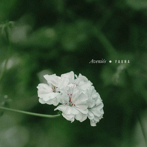 Fauna by Aveniós