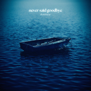 never said goodbye by slowinne