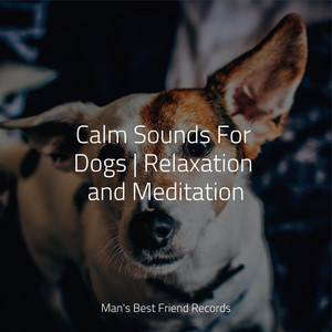 Calm Sounds For Dogs | Relaxation and Meditation album