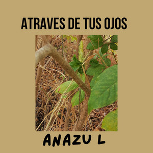 Atraves de tus ojos by ANAZU L