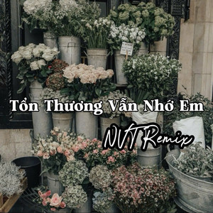 NVT Remix - Tổn Thương Vẫn Nhớ Em