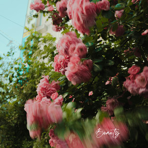 Beauty by driftø blues