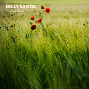 The Meadow by Billy Sands