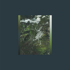 (blackberries) by Five Times The Stars