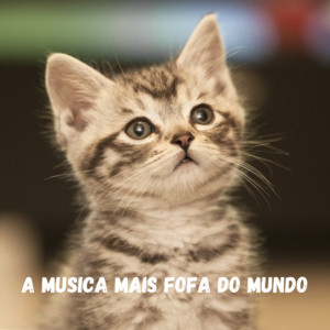 Bruno Portinho Trilhas para filmes - The cutest song in the world