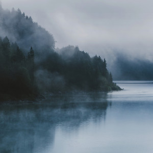 Surrender — SVLBRD