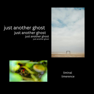 just another ghost by liminal limerence