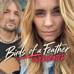 Overheated by Birds of a Feather