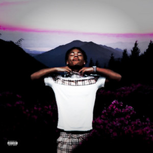 My Nigga Died (Just Fine 225 Mix) - Single by Juveniletristen