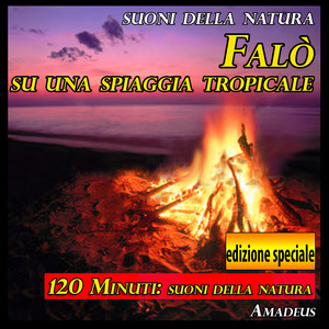 Canto degli uccelli all'alba: suoni della natura - Bonus Track by Amadeus