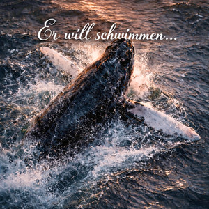 Er will schwimmen by Raven Voices