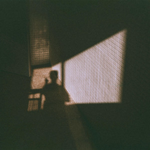 The Feeling of Loss by Nothing New