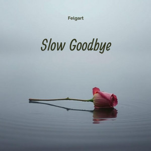 SlowGoodbye by Felgart